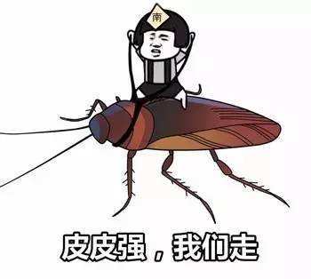 南北方人眼中的南北方差异 说的太准了