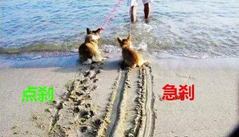 点击这里看大图