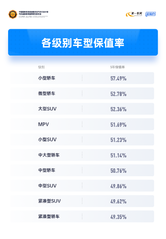 2024 中国汽车保值率排行榜